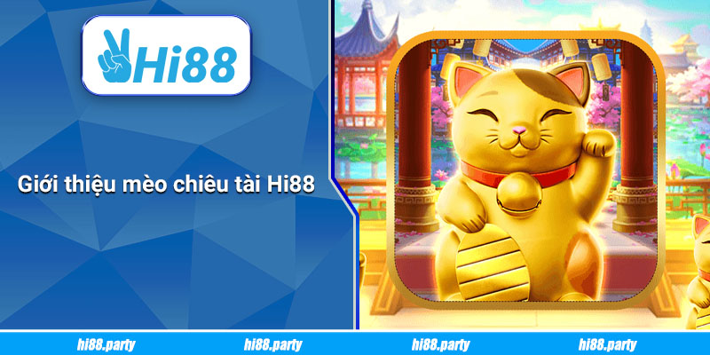 Giới thiệu mèo chiêu tài Hi88